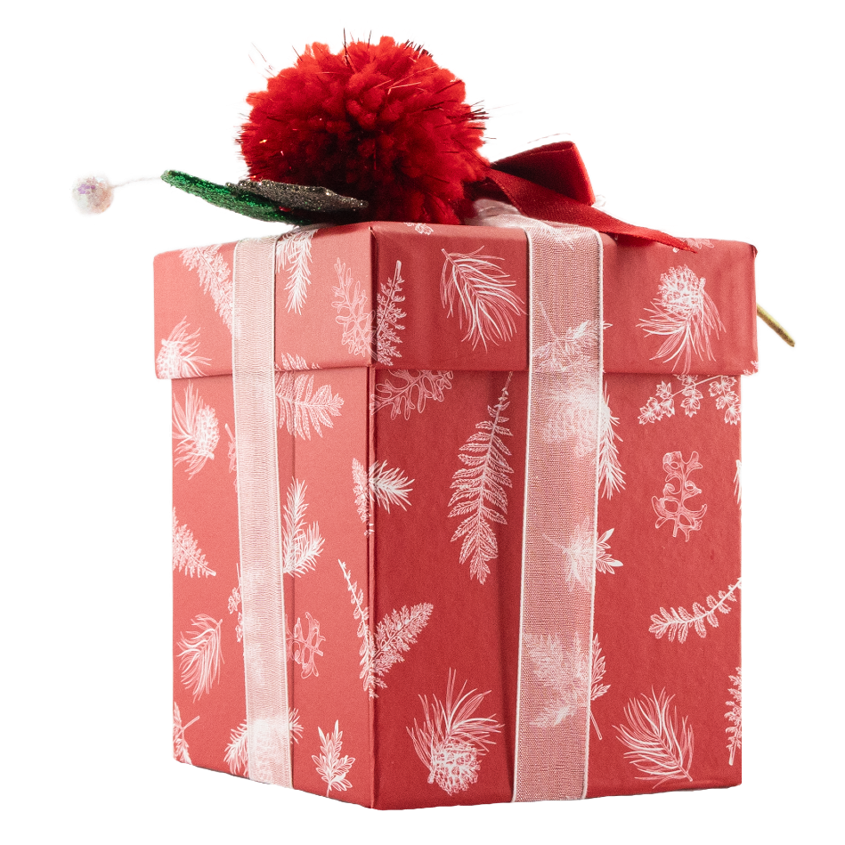 Weihnachten rote Schachtel 12 Pralinen 180 Grs