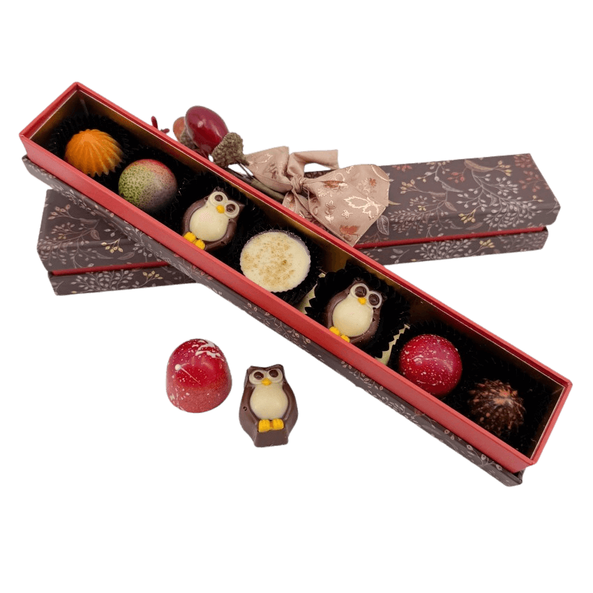 Herbstgeflüster Pralinen 105g