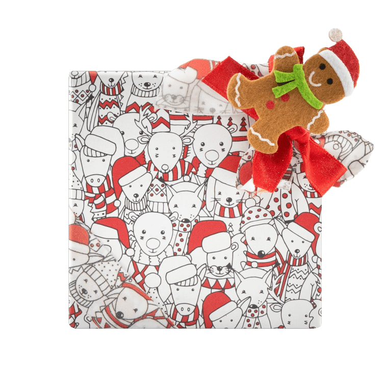 Weihnachtspackung 9 Pralinen 135g