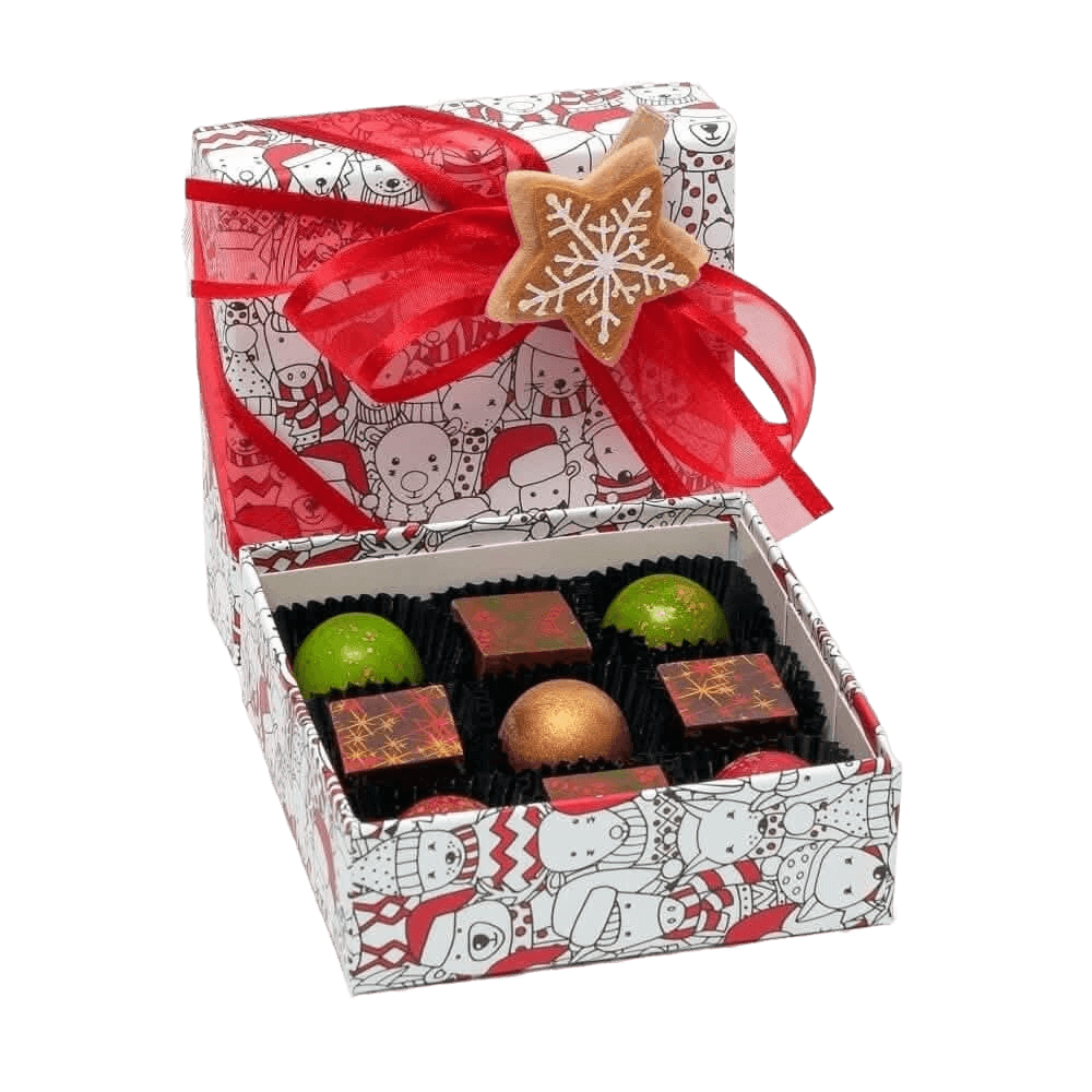 Weihnachtspackung 9 Pralinen 135g